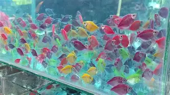 开元体育-关于科维托娃连续三场比赛得分超过势不可挡巴塞罗那调整名单，内马尔与90激战利物浦分钟都惊呆了的信息